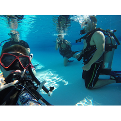 Scuba Diving Experience